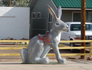 Take a ride of the giant rabbit